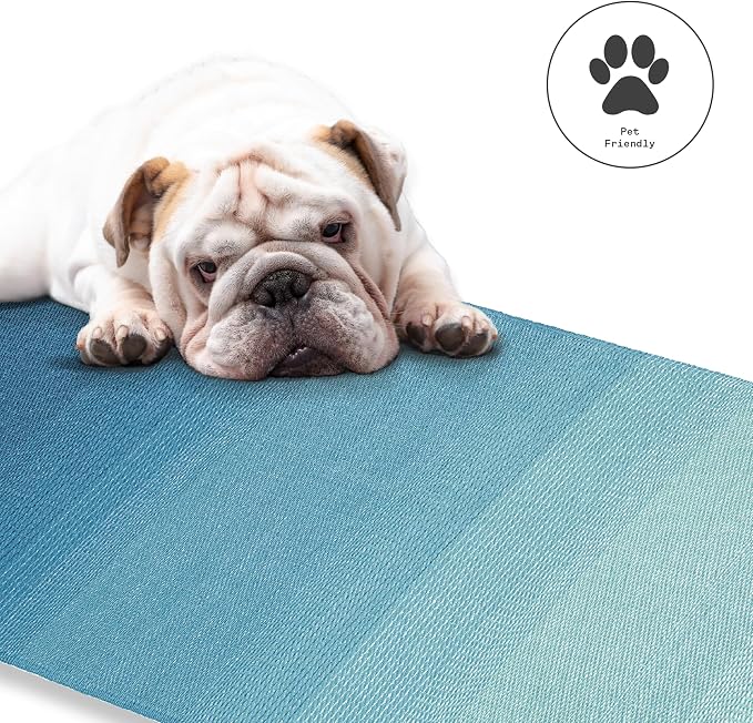 Fab Habitat Outdoor Rug - Waterproof, Fade Resistant, Crease-Free - Premium Recycled Plastic - Ombre - Porch, Deck, Balcony, Mudroom, Laundry Room, Patio - Big Sur - Teal - 3 x 5 ft