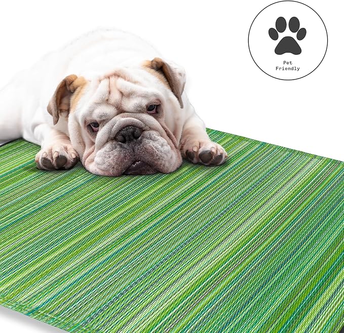 Fab Habitat Outdoor Rug - Waterproof, Fade Resistant, Crease-Free - Premium Recycled Plastic - Striped - Patio, Deck, Porch, Balcony, Laundry Room - Cancun - Green - 4 x 6 ft