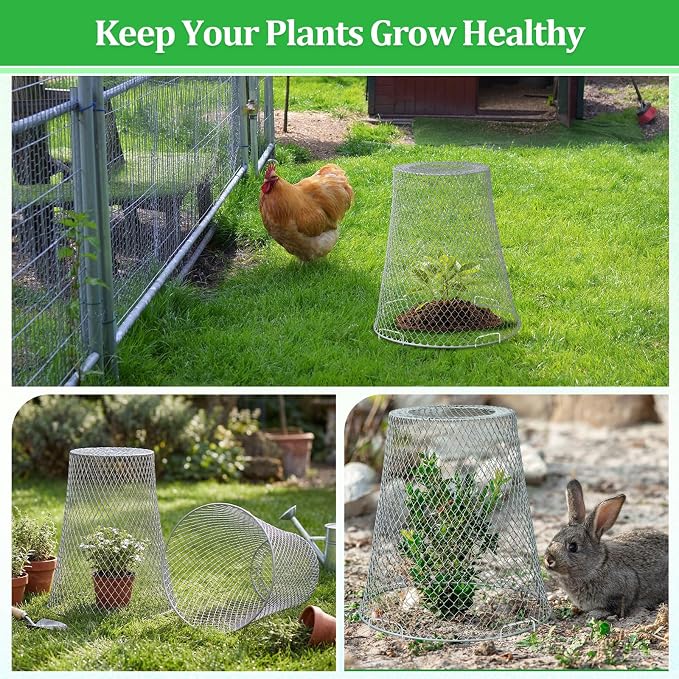 Therwen 6 Pcs Large Plant Wire Cloche 11 x 12 Inch Metal Garden Cloche with Garden Stakes Plant Protector from Animals for Keeping Bunnies Chicken Squirrels Birds (Silver)