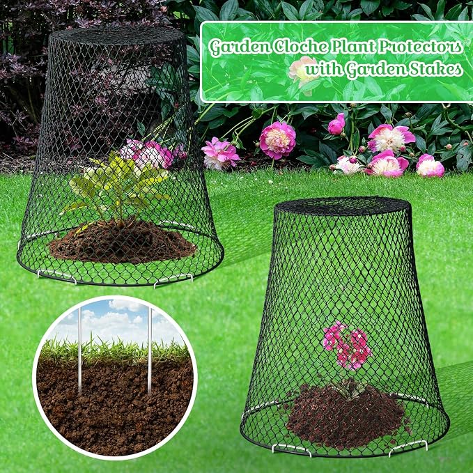 Therwen 15 Pcs Large Plant Wire Cloche 11 x 12 Inch Metal Garden Cloche with Garden Stakes Plant Protector from Animals for Keeping Bunnies Chicken Squirrels Birds (Black)