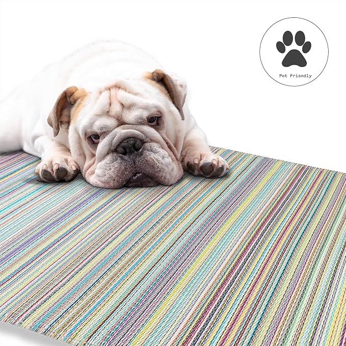 Fab Habitat Outdoor Rug - Waterproof, Fade Resistant, Crease-Free - Premium Recycled Plastic - Striped - Patio, Porch, Deck, Balcony - Cancun - Candy - 5 x 8 ft