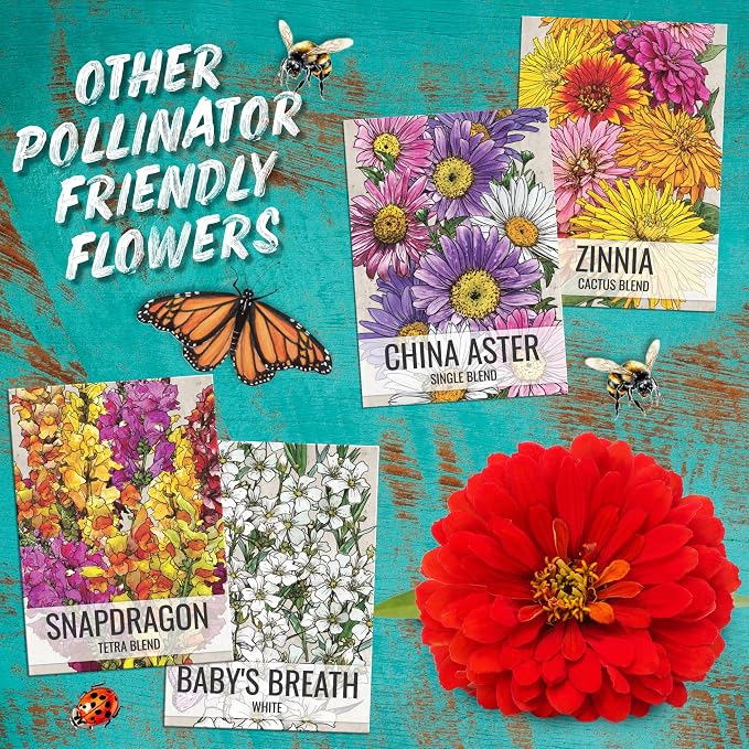 Seed Needs Flower Seeds Cosmos Original Crazy Blend 10+ Varieties Bulk Pack
