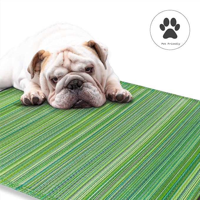 Fab Habitat Outdoor Rug - Waterproof, Fade Resistant, Crease-Free - Premium Recycled Plastic - Striped - Porch, Deck, Balcony, Mudroom, Laundry Room, Patio - Cancun - Green - 3 x 5 ft