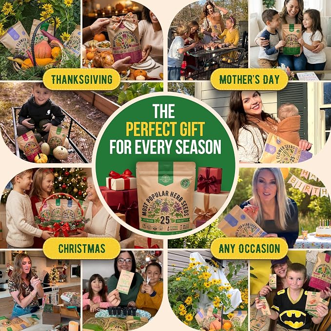 25 Most Popular Herb Seeds Variety Pack - 11,700 Non-GMO Heirloom Seeds for Planting Herbs in Individual Seed Packets for Hydroponic, Indoor & Outdoor Gardening - 2026 Season: Catnip, Dill, Thyme