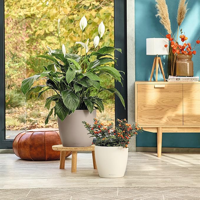 Lechuza Classico Color 28 Sand Brown, Self-Watering Round Planter, D11 H10.2 in