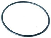 Leslies Hydromax II Pump Lid O'ring