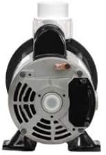 SPAGUTS Pump, Spa Circulation, Aqua-Flo, Circ Master, CMCP, CD, 1.5-inch, 220V, 02593001-2010