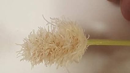 64 Site Aeroponic Cloning Machine Cloner Expect 100% Success Rates!!!