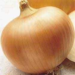 Onion Yellow Sweet Spanish Great Heirloom Vegetable By Seed Kingdom 1/4 Lb Seeds