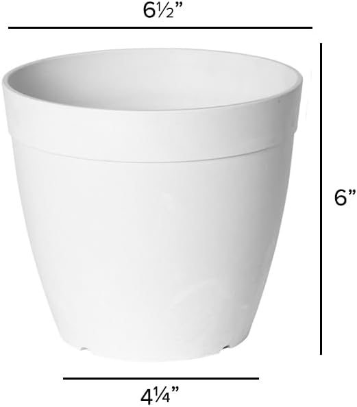 Root & Vessel Dolce Round Planter, White, 6"