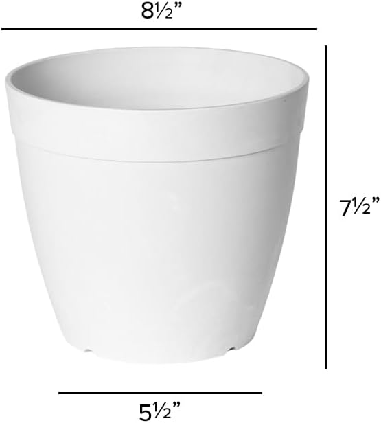Root & Vessel Dolce Round Planter, White, 8"
