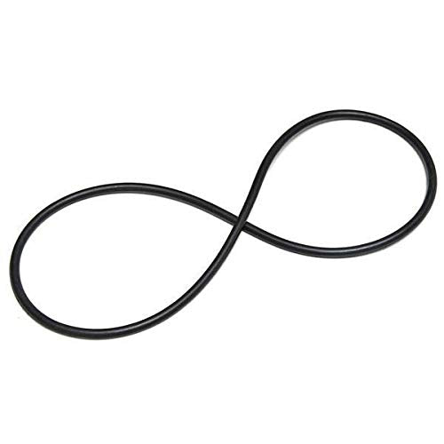 Aladdin Equipment Co. Sta-Rite Posi-Flo Filter Lid O-Ring O-419 31935-0001