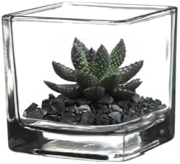 WGV 3 Inch Clear Square Cube Glass Votive Candle Holder Vase, Small Tiny Mercury Tea Light Terrarium Décor 3x3”, 1 Pc - Image 5