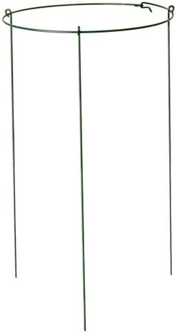 14" Wide x 24" Tall Single Ring Green Peony Hoop Plant Supports (12)