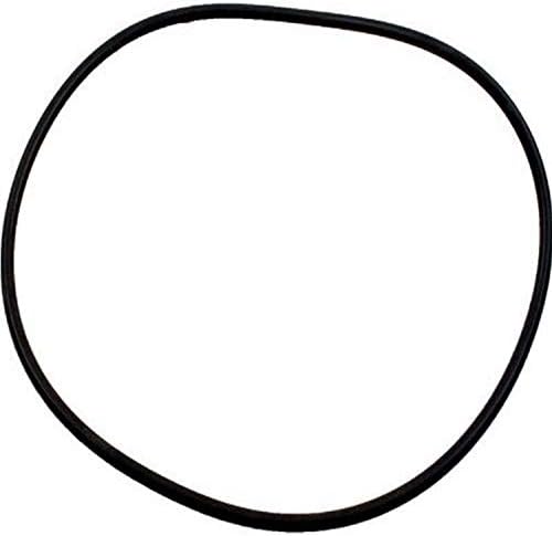 Zodiac R0555400 Pot Lid O-Ring Replacement for Select Zodiac Jandy JHP Series Pump