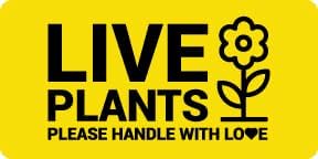 Live Plants Labels, 4 x 2 Inch, Yellow, 300 Labels | Handle with Love Messaging, Shipping & Handling Instructions, Live Animals & Airline Cargo, Stickers