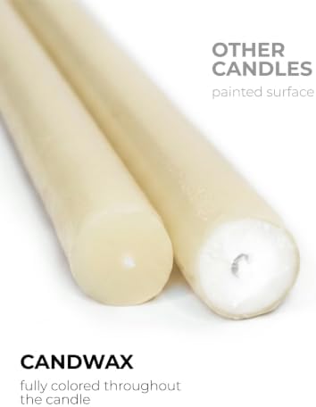 CANDWAX Candle Set of 12 Ivory Taper Candles 8 inch - Dripless and Ideal for Wedding Use - Long Burning and Unscented Candlesticks - Ivory Candles - Image 2
