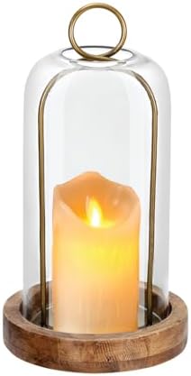 12" High Versatile Vintage Brass Metal Candle Holder with Handmade Sturdy Glass Dome and Natural Wooden Base for Pillar Candle & Plants, Industrial, Farmhouse, Shabby Chic, Display Cloche Bell Jars by Unknown