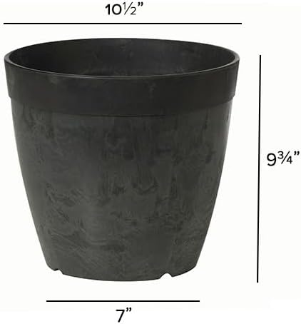 Root & Vessel Dolce Round Planter, Black, 10"