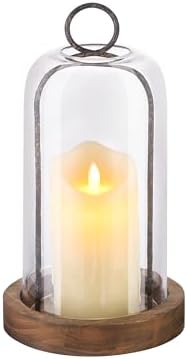 12" High Versatile Rustic Brown Metal Candle Holder with Handmade Sturdy Glass Dome and Shabby Brown Wooden Base for Pillar Candle & Plants, Industrial, Farmhouse, Decorative Display Cloche Bell Jars by Unknown