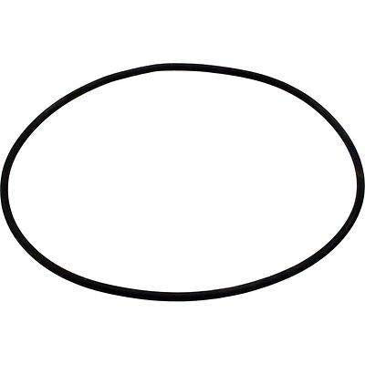 Aladdin Equipment Co. Sta-Rite Posi-Flo Filter Lid O-Ring O-419 31935-0001