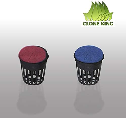 25 Site Aeroponic Cloning Machine Expect 100% Success Rates