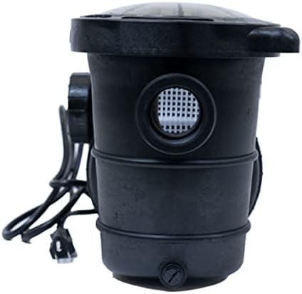 Rx Clear Maxi Force Pump Dual Speed 1.5 HP | Maximum Performance and Efficiency | For Above Ground Pools