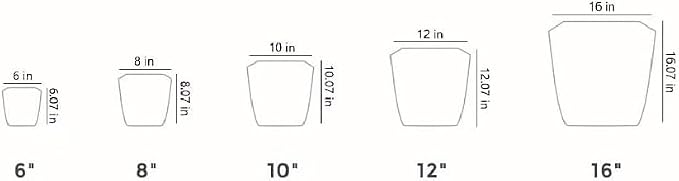 The HC Companies 8 Inch Aria Square Self Watering Planter - Plastic Plant Pot for Indoor Outdoor Plants Flowers Herbs, Glossy Green