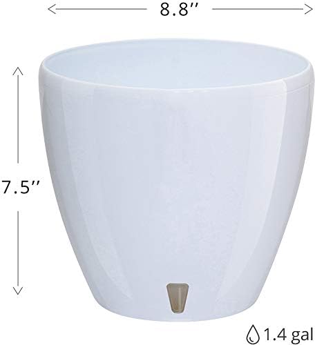 Santino, Self Watering Planter Deco 8.8 Inch, Cream, Indoor Decorative Flower Pot with Drainage Cartridge and Water Level Indicator