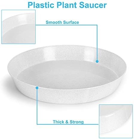 Plant Saucers 6in (4.5" Base) Case of 5 | Polypropylene, Heavy Duty Indoor/Outdoor, Drip Pan & Tray, Collects Excess Water, Made in USA