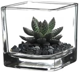 WGV 2 Inch Tea Light Votive Candle Holder, Clear, Square Cube 2”x2”, Small Tiny, Home Décor, Table Top, 1 Pc - Image 5