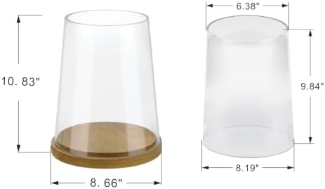8" Wide Glass Hurricane Candle Holders with Handmade Sturdy Glass Sleeves and Natural Wood Base for Pillar Candle & Plants, Industrial, Farmhouse, Display Cloche Bell Jars, Table Centerpiece - Image 2