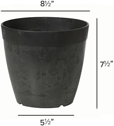 Root & Vessel Dolce Round Planter, Black, 8"