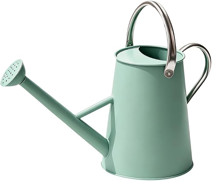 Metal Watering Can with Stainless Steel Handle for Outdoor and Indoor Plants, Watering Can Decor, 1.5 Gallon (Cream Green)