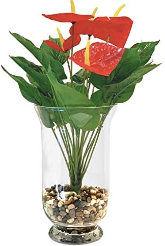 WGV Unique Bouquet Vase Bulk, 7" W, 12" H, Clear Short Hurricane Glass Candle Holder, Floral Planter Terrarium, Home Wedding Event Decor, 6 Pieces (VHV0812) - Image 4