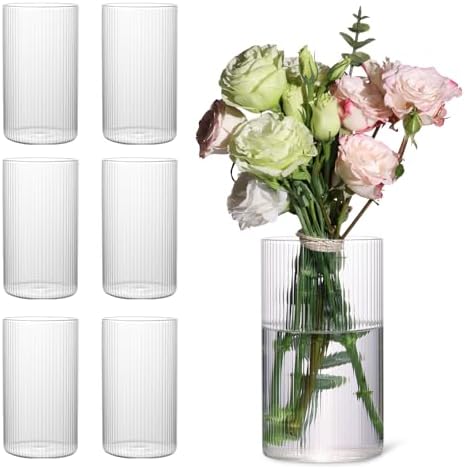 6 Inch Clear Glass Ribbed Cylinder Vases for Centerpieces, Pack of 6 by TripodBird