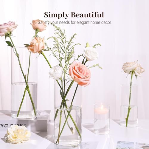 TBWIND 16pcs 4/6/8/10 Inch Clear Glass Cylinder Vases for Centerpieces - Image 5