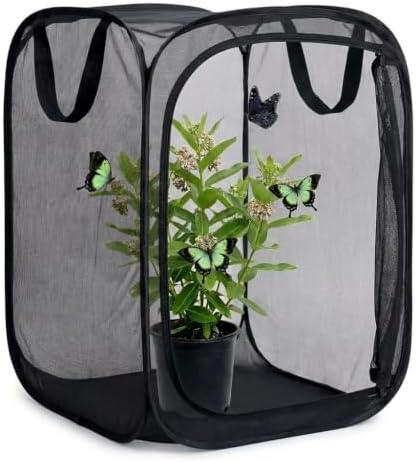 Insect & Butterfly Habitat Cage, Portable Pop-Up Terrarium with Mesh Sides, Bug Catching & Observation Enclosure for Caterpillars, Small Insects, Outdoor & Classroom Use, 16 Inches Tall by Unknown
