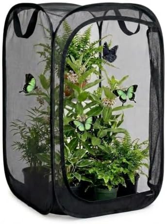 Mesh Plant Protection Enclosure, Portable Collapsible Garden Grow Cage with Mesh Barrier, Pest & Bird Proof Plant Cover for Vegetables, Fruits, Outdoor Patio Balcony Use, 36 Inches Tall by Unknown