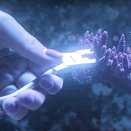 10FK Ultimate Coral Fragging and Coral Propagation Kit for Reef Hobbyists - 19 Pcs, Rollup case, Stainless Steel Instruments