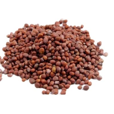 Fried Radish Seed 500g/17.6oz-炒莱菔子 | Lai Fu Zi, Stir-Fried Radish Seed, Natural Chinese Herbal Tea, Resealable Bag