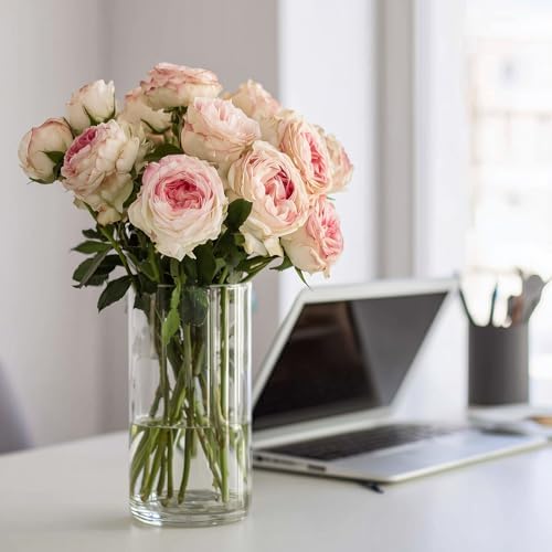 SUPMIND 12P Cylinder Vases for Table Centerpieces, 6inch Glass Flower Vases - Image 5