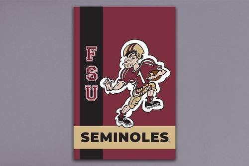 Magnolia Lane Collegiate Garden Flag (FSU Retro)
