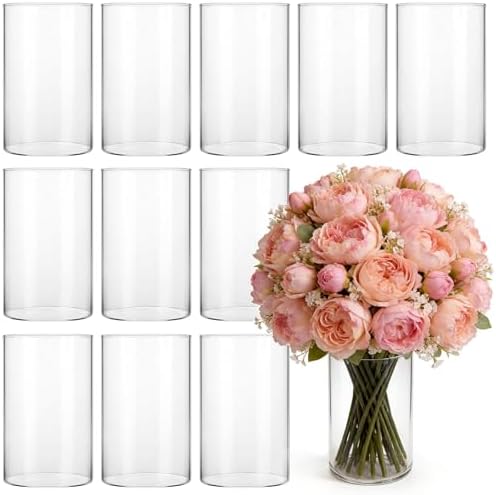12 Pack Glass Cylinder Vases for Centerpieces, 6 Inches Tall by Jibrelxion