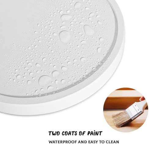 Round Decorative Tray Farmhouse Kitchen Decor Soap Dish, 10" White - Image 5