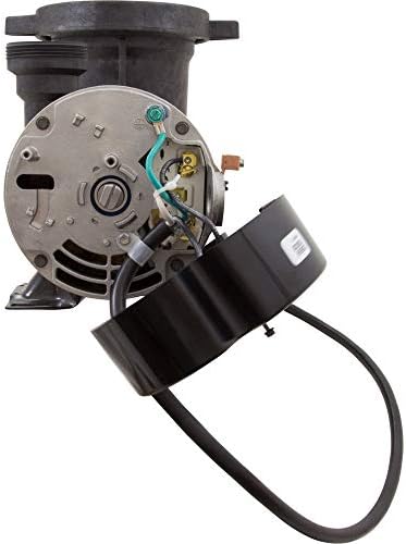 Waterway Plastics PH1100 Hi-Flo 1 hp Above Ground Pool Pump and Trap