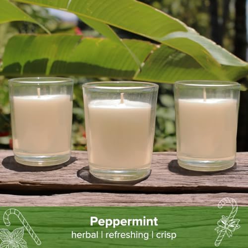 Simply Soson Peppermint Votive Candle Set of 24 Bulk White Scented - Image 4