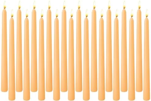 20 Pack 10 Inch Unscented Light Orange Taper Candles for Fall by Unknown