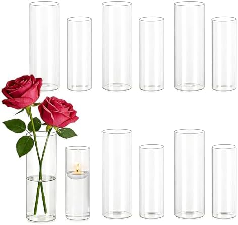 Hewory Glass Cylinder Vases for Centerpieces: 12Pcs Clear Small Bud Vases by Hewory