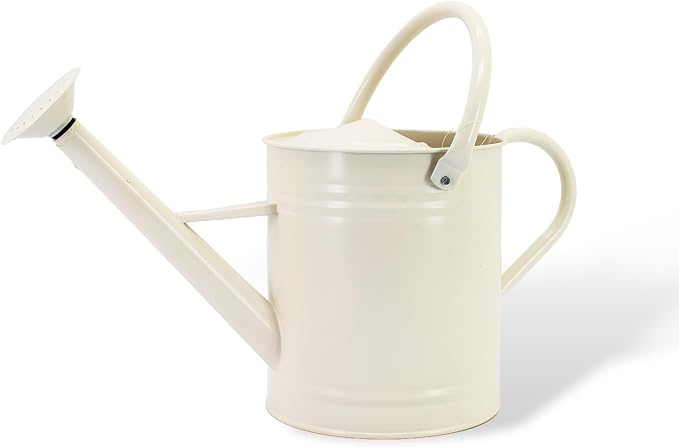 1 Gallon Matte Cream Metal Watering Can, Removable Spout | Cream White Galvanized Plant Water Can for Indoor and Outdoor Use